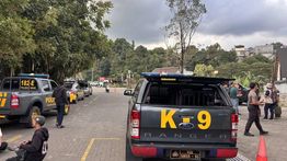 Polres Cimahi Sisir Radius 1 Kilometer Cari Macan Tutul Lepas di Lembang