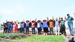 Pertamina Dorong Ketahanan Pangan, Energi Bersih Aliri 25 Hektar Lahan Pertanian Berkelanjutan Milik Warga Kalijaran