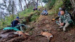 Kemenhut Amankan Pelaku Utama Perburuan Liar di Taman Nasional Gunung Merbabu