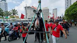 Tikus Raksasa Berdasi Hebohkan Kawasan Monas