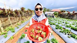 Pertamina Berdayakan Desa Rantau Dedap: Dari Energi Bersih hingga Wisata Edukasi