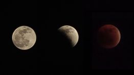 Gerhana Bulan Total Hiasi Langit Jakarta, Bulan Purnama Tampak Merah Tembaga
