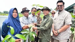 Menhut Targetkan Penyaluran 17 Juta Bibit Pohon Gratis hingga Akhir 2025