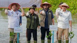 Menhut Tetapkan Target Rehabilitasi Mangrove 15.387 Hektare di Tahun 2025