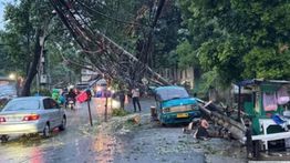 Angkot Ringsek Tertimpa Pohon Tumbang di Pondok Labu