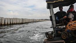 DKI Jakarta Siapkan Kompensasi bagi Nelayan Terdampak Pagar Beton di Cilincing