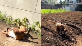 Viral Dosen UIN Malang Guling-guling di Tanah Saat Cekcok dengan Tetangga, Kampus Buka Suara
