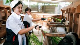 Employee Volunteering MIND ID Hadirkan Ekosistem Ekonomi Sirkular Bagi Desa Ciderum