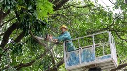 Guangdong Naikkan Status Tanggap Darurat Hadapi Topan Ragasa