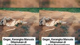 Kerangka Manusia Ditemukan Berserakan di Perumahan Tangerang