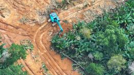 Kemenhut Tetapkan Tersangka Pembukaan Hutan Lindung di Sultra