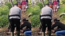 Nahas! Pria di Sukabumi Tewas Dipatok Ular Kobra