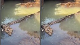 Jasad Perempuan Mengambang di Sungai Gegerkan Warga Bandung Pagi Ini