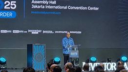 Rosan: Indonesia Berpotensi Jadi Pemimpin ASEAN untuk Tarik Investasi Global