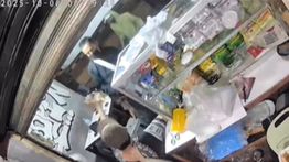 Polisi Selidiki Gerombolan Bersenpi yang Serang Warkop di Tanah Abang, 2 Orang Terkena Tembakan