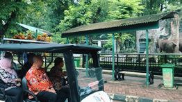 Hore! Taman Margasatwa Ragunan Resmi Buka Malam Hari