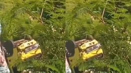 Truk Box Terjun ke Jurang di Bandung Barat, Sopir Belum Ditemukan