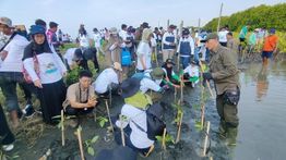 Bersama Warga, PLN Rehabilitasi Mangrove Lindungi Pesisir Utara Jateng dari Banjir Rob