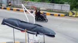 Tugu Ikan Gabus di Exit Tol Bekasi Viral, Warganet Heboh Tebak Anggaran