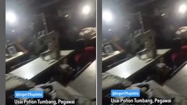 Merinding! Puluhan Karyawan Pabrik Kesurupan Massal Usai Pohon Besar Tumbang
