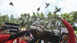 Sentra Fauna Lenteng Agung Siap Ditempati Eks Pedagang Pasar Barito