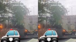 Pohon Tumbang di Jalan Pantura Cikarang Sebabkan Kemacetan Panjang