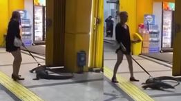 Viral Wanita Ajak Biawak Peliharaan Jalan-jalan di Tengah Kota