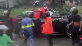 Pohon Tumbang Timpa Mobil Lexus di Pondok Indah, Pengemudi Tewas di Tempat