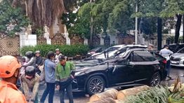 Polisi Beberkan Kronologi Tewasnya Pengemudi Lexus Tertimpa Pohon di Pondok Indah