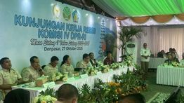 Menhut Raja Juli Sampaikan Permintaan Maaf ke Papua atas Kasus Pembakaran Mahkota Cenderawasih