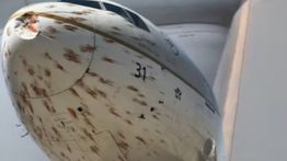 Detik-Detik Ratusan Burung Tabrak Pesawat Saudi Arabian Airlines, Penerbangan Terpaksa Dibatalkan