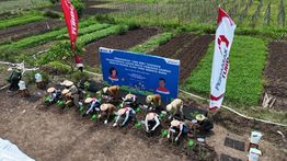 Inovasi di Tengah Kemarau, Pertamina Tanam Harapan Bersama Petani Desa Sobokerto