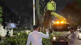 Pemprov DKI Remajakan Pohon di Pondok Indah Demi Keselamatan Warga