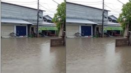 Denpasar Utara Dihantam Banjir Sore Ini