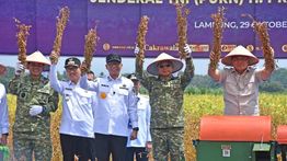 Panglima TNI Dampingi Menhan RI Tinjau Panen Kedelai Garuda Merah Putih di Lampung