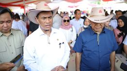 Mentan Amran Buka-bukaan 40 Persen Kebutuhan Daging Sapi Masih Impor