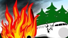 Kecelakaan Pesawat di Kentucky, AS: 3 Tewas, 11 Luka-Luka