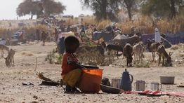 Serangan RSF di Kordofan Utara Sudan Tewaskan 43 Orang, Puluhan Lainnya Luka-luka