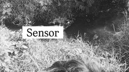 Mayat Wanita Terkapar Gegerkan Warga Bekasi Pagi Ini