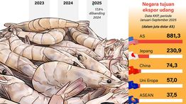 Infografik: Ekspor Udang Indonesia ke AS Usai Kontaminasi Radioaktif