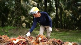 Produksi CPO PalmCo Tembus 2,2 Juta Ton hingga Oktober 2025