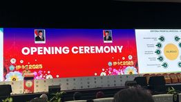 Pemerintah Percepat Sertifikasi ISPO dan Hilirisasi Sawit Nasional