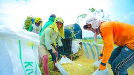 Komisi IV DPR RI Apresiasi Capaian Produksi Beras Era Mentan Amran