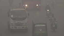 Emisi Karbon Global Diperkirakan Pecahkan Rekor Tertinggi pada 2025