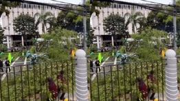 Pohon Tumbang Timpa Mobil di Jakpus, Diduga Akibat Hujan dan Angin Kencang