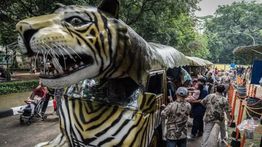 Ragunan Siap Disidak Terkait Dugaan Pakan Satwa Dibawa Pulang Petugas