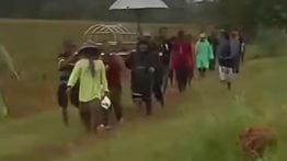 Neduh di Tengah Sawah, Pria Bekasi Tewas Tersambar Petir