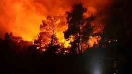 Kebakaran Hebat Landa Jepang, 175 Orang Mengungsi