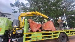 MRT Jakarta Sebut Tak Ada Pembahasan soal Kompensasi Penumpang Akibat Pohon Tumbang