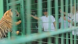 Menhut Raja Juli Antoni Apresiasi Konservasi Satwa BN Zoo Bangka